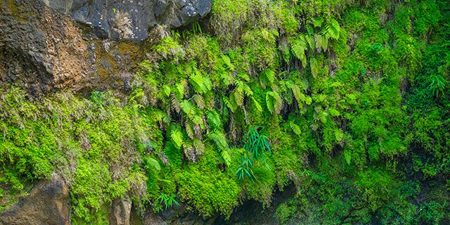 Visit vallee couleurs nature park (4)